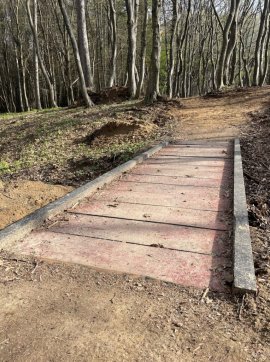 Premieră la Cluj: traseu turistic adaptat persoanelor cu dizabilități, inaugurat în Pădurea Făget / ”Ne dorim ca&nbsp;(…)