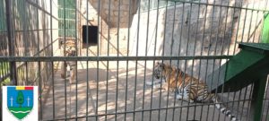 Suceava: Activitatea de vizitare a Grădinii Zoologice improvizată din Zăhăreşti a fost sistată