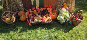 (FOTO) Campanie cu suflet la Spitalul de Psihiatrie Murgeni: „Pentru tine-i doar un fleac, donează-ne un dovleac!”