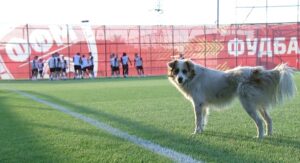 “Vizitator” neașteptat la antrenamentul FCSB-ului din Macedonia de Nord!