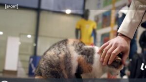 Jurnal Antena Sport | Mutarea câştigătoare