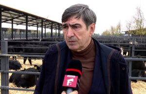 “Nu mi-au plăcut declaraţiile” Victor Piţurcă a comentat scandalul de la echipa naţională!