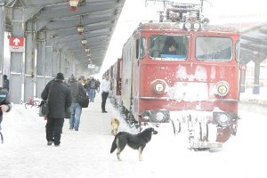 Mersul trenurilor, ultimele ştiri. Trenuri anulate şi restricţii de trafic