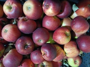 Peste 1,8 milioane de elevi şi preşcolari din România nu primesc la şcoală sau grădiniţă fructe şi legume proaspete