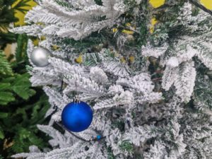 Neamţ: Andra Gogan, ADDA şi IDK vor deschide Târgul ‘Piatra lui Crăciun’