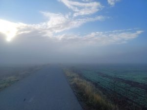 Ceaţa afectează în această dimineaţă circulaţia pe trei autostrăzi şi pe drumurile din opt judeţe