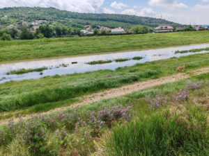 INHGA:Cod portocaliu de inundaţii pe râuri din judeţele Bistriţa-Năsăud, Suceava, Harghita şi Neamţ, până luni dimineaţa