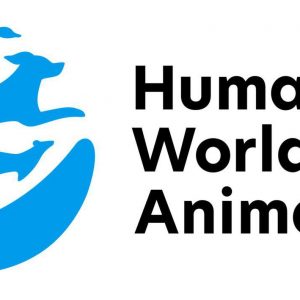 Humane World for Animals susține reformele care recunosc animalele ca ființe simțitoare