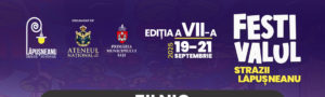 Iași: Festivalul Străzii Lăpușneanu, ediția VII – o sărbătoare pentru întreaga comunitate