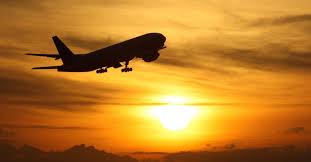 Familia unui medic vegan care a murit în avion a dat în judecată compania aeriană pentru că i-a servit un meniu cu carne