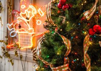 Când se împodobește bradul de Crăciun și cum a luat naștere acest obicei. Scurt istoric și semnificație