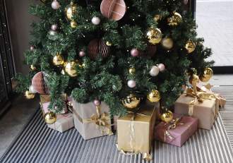 Ce brad alegi de Crăciun, în 2025? Natural, artificial sau în ghiveci? Iată care sunt avantajele și dezavantajele (…)
