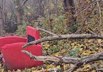 Martorii în cazul tinerei găsită decedată, lângă o șină de cale ferată, în Bacău, fac declarații. Victima ar avea 26 (…)