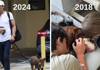 Tom Brady, dezvăluire șocantă! Și-a clonat câinele decedat în 2023