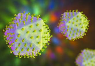 O țară din Europa a intrat în stare de urgență din cauza epidemiei de pestă porcină africană! Autoritățile, în (…)