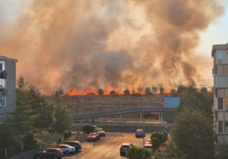 Incendiu de vegetație în Arad. S-a intervenit cu mai multe autospeciale pentru stingerea focului
