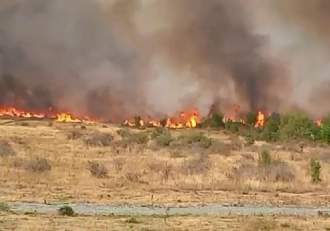 Incendiu uriaș în județul Gorj! Ard sute de hectare, localnicii fug cu copiii în brațe | FOTO