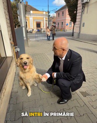 Animalele de companie au acces și ”sunt binevenite” în Primăria Cluj-Napoca