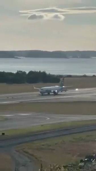 Momentul în care un avion Alaska Airlines lovește mai multe căprioare la aterizare