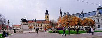 Bihorenii cu studii primare și cei peste 40 de ani, cei mai afectați de șomaj în județ