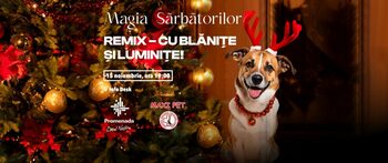 Promenada Craiova dă start sezonului festiv: spectacol de lumini și paradă a cățeilor îmbrăcați de sărbătoare