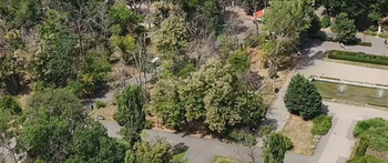 În parcurile Capitalei există 1.600 de arbori PERICULOȘI, care stau să cadă peste trecători. Oamenii evită deja (…)