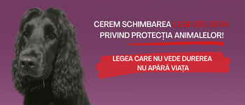 România are legi pentru animale, dar nu are protecție reală. Campania „Legea care nu vede durerea nu apără viața” (…)