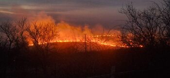 Peste un milion de hectare au ars în UE de la începutul anului, un record de la înregistrarea datelor. România e pe (…)