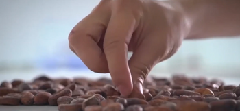 Scumpirea boabelor de CAFEA afectează piața dulciurilor: Ciocolată a început să fie subțiată sau înlocuită cu (…)