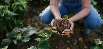 Agricultura regenerativă câștigă teren în Europa: soluție pentru criza climatică și viitorul fermelor