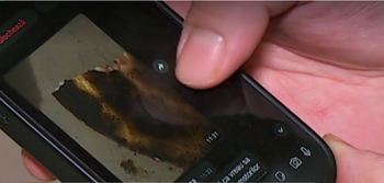 Reclamații făcute cu poze FALSE împotriva unei pizzerii din Cluj-Napoca. Angajații au descoperit falsul, după ce (…)