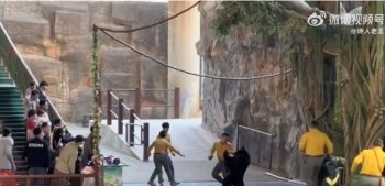 Un urs negru își atacă dresorul în timpul spectacolului. „Gata cu spectacolele cu animale”