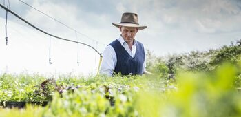 Cum reușește un fermier român să facă profit și în afara sezonului: „Ai producție din iunie până în noiembrie”
