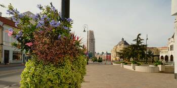 Ce facem astăzi, 15 octombrie, în Oradea?