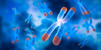 Peste 400 de gene legate de îmbătrânirea accelerată, descoperite de cercetători