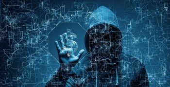 Studiu olandez: criminalitatea cibernetică în rândul adolescenților este, în majoritatea cazurilor, doar o fază (…)