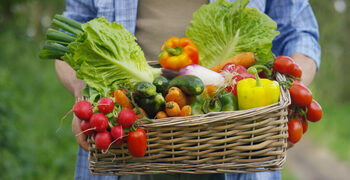 Studiu: Schimbările climatice afectează calitatea nutrițională a culturilor alimentare