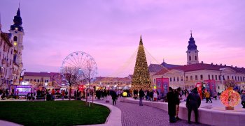 Radiografia pieței muncii în Bihor: salarii în creștere, șomaj în urcare în luna septembrie