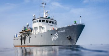 UE și Marea Britanie au ajuns la un acord privind drepturile de pescuit pentru 2026