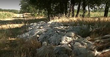 Practica periculoasă care otrăvește terenurile și recoltele în multe zone din țară. „Știm, dar ce putem face?!”