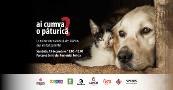 Mobilizare majoră la Iaşi pentru animalele din padocuri – cel mai mare eveniment caritabil pentru prietenii blănoşi (…)