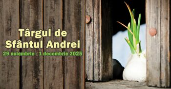 Târgul de Sfântul Andrei va fi deschis la Muzeul Satului între 29 noiembrie şi 1 decembrie