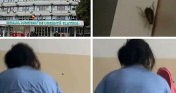 Condiții horror la spitalul din Slatina: gândaci în saloane, toalete de nefolosit! Pacienții vânează insectele cu (…)