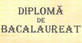 Bacalaureat 2025: În Ialomița, rata de promovare cumulată (înainte de contestații) este de 67,53 %