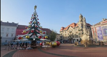 Bradul ciudat montat în Piața Libertății din Timișoara a stârnit discuții. „E urât tare, sincer”
