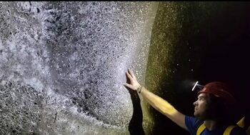 A fost găsită cea mai mare pânză de păianjen din lume! Se află în Europa