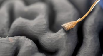 20 de fapte uimitoare despre creierul uman pe care majoritatea oamenilor nu le cunoaște