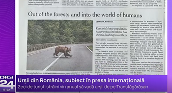 Problema urșilor din România, subiect de analiză în presa internațională. Ce au scris jurnaliștii de la The New York (…)