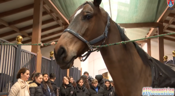 Eveniment educativ dedicat copiilor și tinerilor, organizat la centrul ecvestru din Snagov