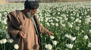 Washington Post: Nu doar că americanii au eșuat să democratizeze Afganistanul, dar n-au reușit să saboteze producția (…)